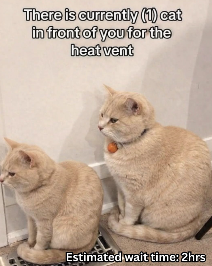 There is currently (1) cat in front of you for the heat vent Estimated wait time: 2hrs