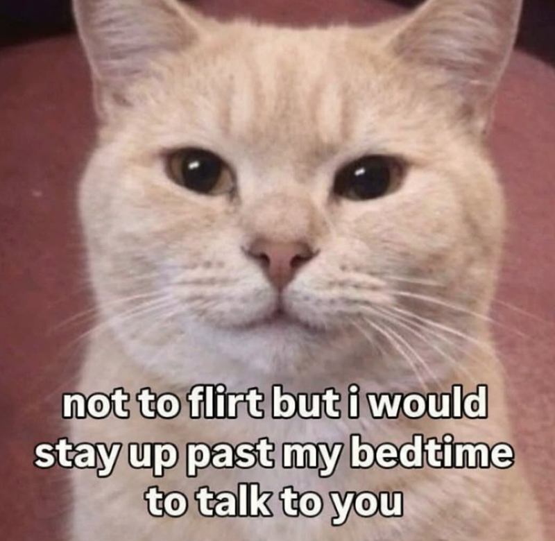 not to flirt but i would stay up past my bedtime to talk to you