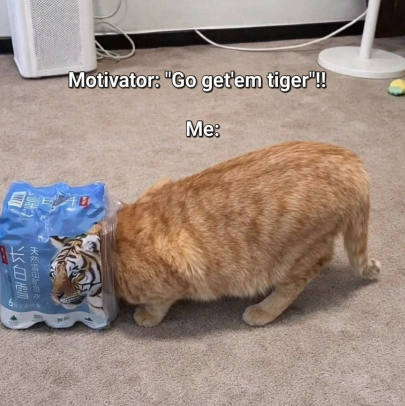 Motivator: "Go get'em tiger"!! Me: 长白雪 天然山矿泉水 6