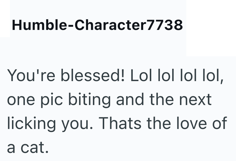 Humble-Character7738 You're blessed! Lol lol lol lol, one pic biting and the next licking you. Thats the love of a cat.