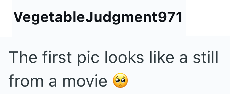 VegetableJudgment971 The first pic looks like a still from a movie