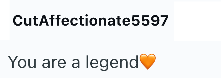CutAffectionate5597 You are a legend