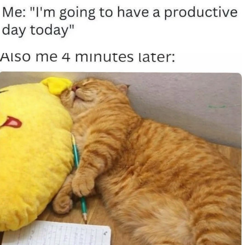 Me: "I'm going to have a productive day today" AISO me 4 minutes later: