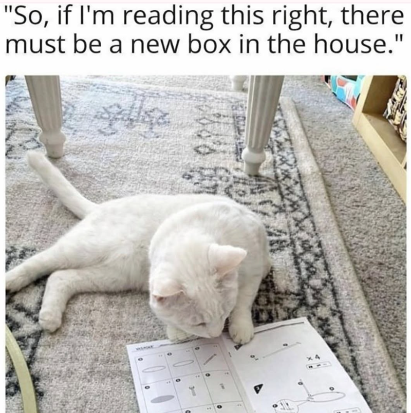 "So, if I'm reading this right, there must be a new box in the house." ×4
