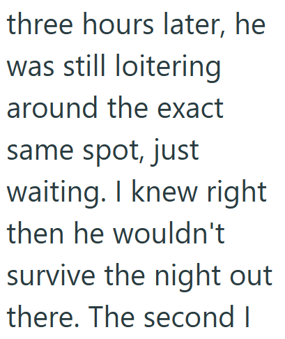 three hours later, he was still loitering around the exact same spot, just waiting. I knew right then he wouldn't survive the night out there. The second I