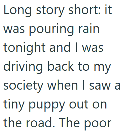 Long story short: it was pouring rain tonight and I was driving back to my society when I saw a tiny puppy out on the road. The poor