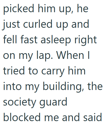 picked him up, he just curled up and fell fast asleep right on my lap. When I tried to carry him into my building, the society guard blocked me and said