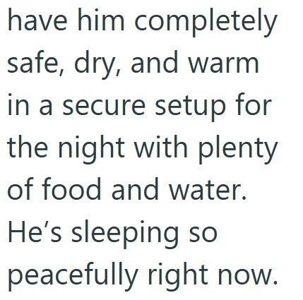 have him completely safe, dry, and warm in a secure setup for the night with plenty of food and water. He's sleeping so peacefully right now.