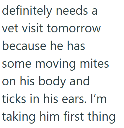 definitely needs a vet visit tomorrow because he has some moving mites on his body and ticks in his ears. I'm taking him first thing