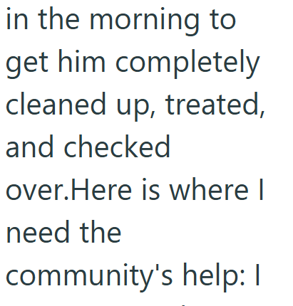 in the morning to get him completely cleaned up, treated, and checked over. Here is where I need the community's help: I