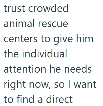 trust crowded animal rescue centers to give him the individual attention he needs right now, so I want to find a direct