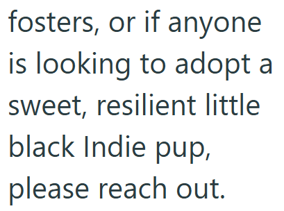 fosters, or if anyone is looking to adopt a sweet, resilient little black Indie pup, please reach out.