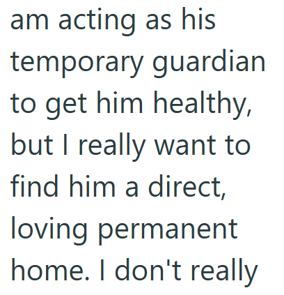 am acting as his temporary guardian to get him healthy, but I really want to find him a direct, loving permanent home. I don't really