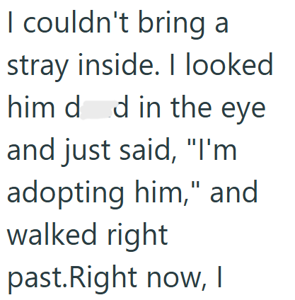 I couldn't bring a stray inside. I looked him dd in the eye and just said, "I'm adopting him," and walked right past. Right now, I