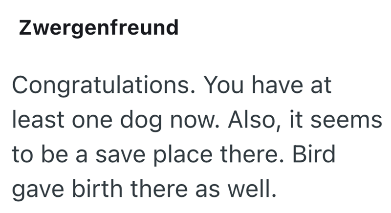 Zwergenfreund Congratulations. You have at least one dog now. Also, it seems to be a save place there. Bird gave birth there as well.