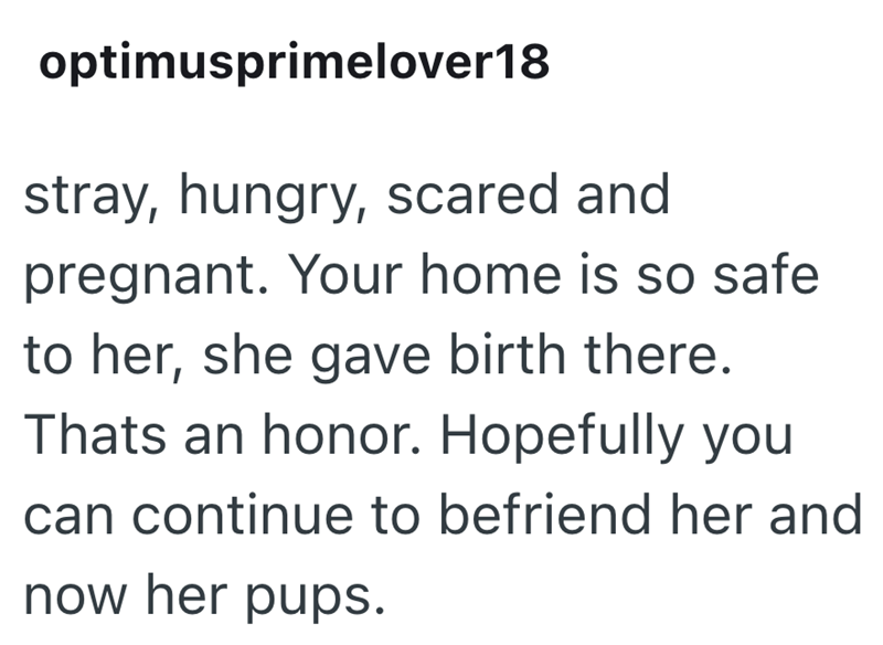 optimusprimelover18 stray, hungry, scared and pregnant. Your home is so safe to her, she gave birth there. Thats an honor. Hopefully you can continue to befriend her and now her pups.