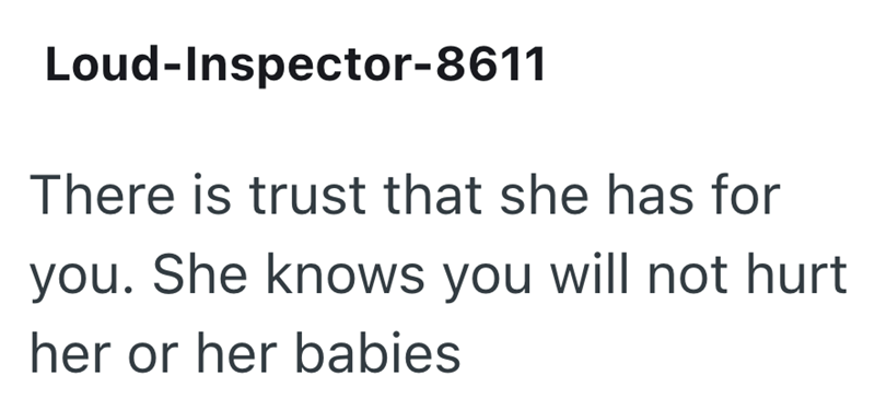 Loud-Inspector-8611 There is trust that she has for you. She knows you will not hurt her or her babies