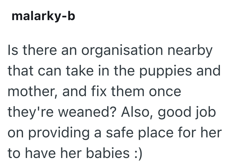 malarky-b Is there an organisation nearby that can take in the puppies and mother, and fix them once they're weaned? Also, good job on providing a safe place for her to have her babies :)