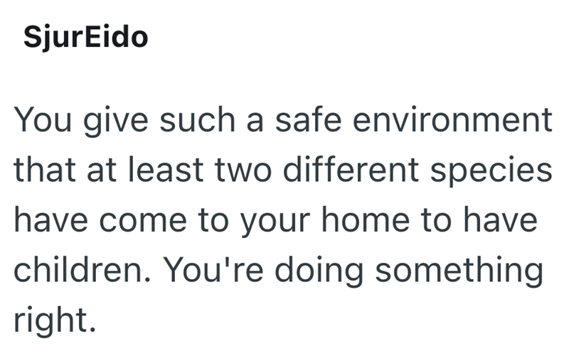 SjurEido You give such a safe environment that at least two different species have come to your home to have children. You're doing something right.
