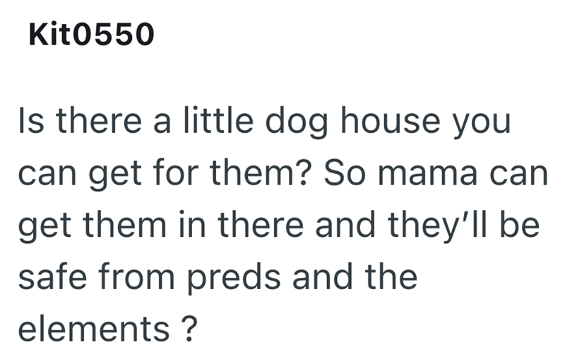 Kit0550 Is there a little dog house you can get for them? So mama can get them in there and they'll be safe from preds and the elements?
