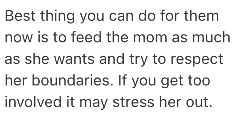 Best thing you can do for them now is to feed the mom as much as she wants and try to respect her boundaries. If you get too involved it may stress her out.