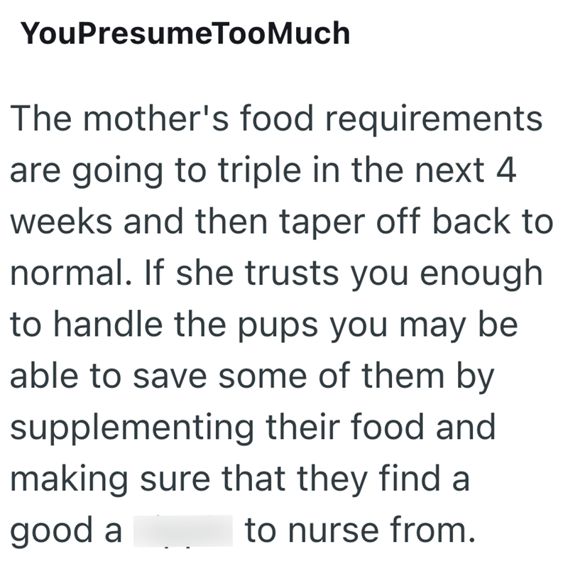 YouPresumeTooMuch The mother's food requirements are going to triple in the next 4 weeks and then taper off back to normal. If she trusts you enough to handle the pups you may be able to save some of them by supplementing their food and making sure that they find a good a to nurse from.