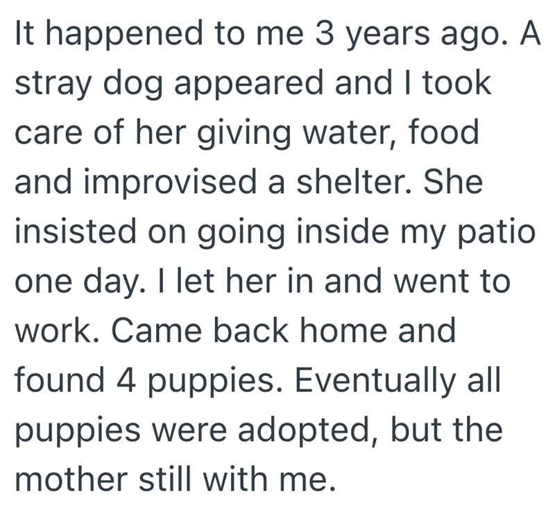 It happened to me 3 years ago. A stray dog appeared and I took care of her giving water, food and improvised a shelter. She insisted on going inside my patio one day. I let her in and went to work. Came back home and found 4 puppies. Eventually all puppies were adopted, but the mother still with me.