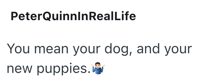 PeterQuinnInRealLife You mean your dog, and your new puppies.