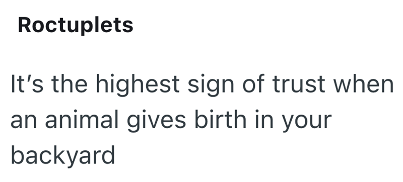Roctuplets It's the highest sign of trust when an animal gives birth in your backyard