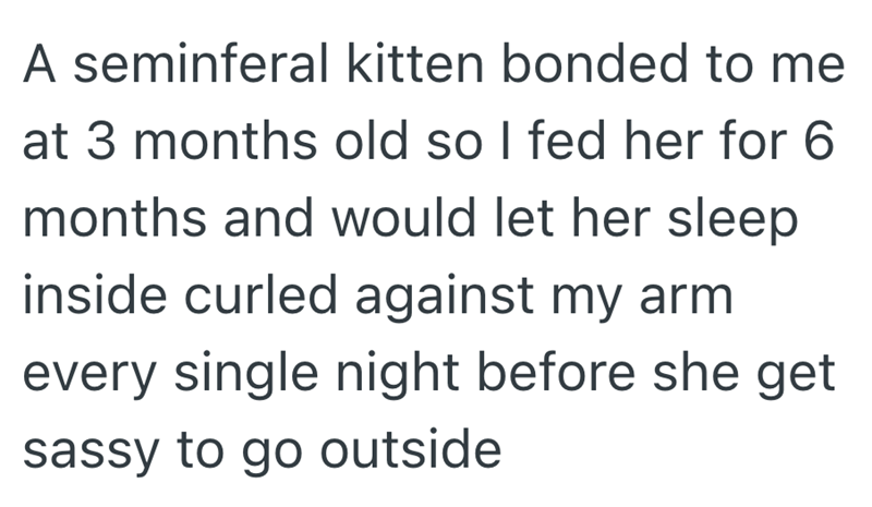 A seminferal kitten bonded to me at 3 months old so I fed her for 6 months and would let her sleep inside curled against my arm every single night before she get sassy to go outside