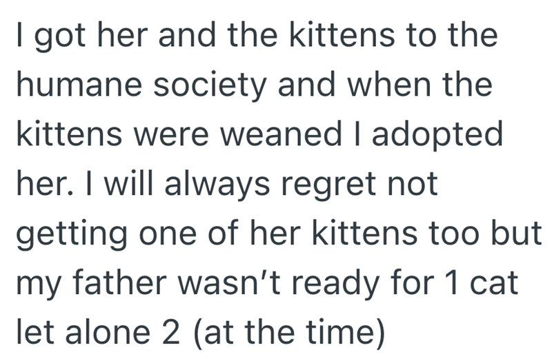 I got her and the kittens to the humane society and when the kittens were weaned I adopted her. I will always regret not getting one of her kittens too but my father wasn't ready for 1 cat let alone 2 (at the time)
