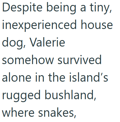 Despite being a tiny, inexperienced house dog, Valerie somehow survived alone in the island's rugged bushland, where snakes,
