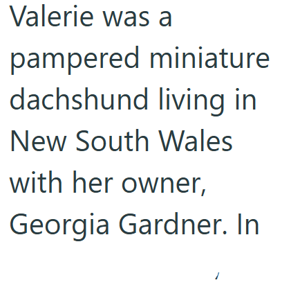 Valerie was a pampered miniature dachshund living in New South Wales with her owner, Georgia Gardner. In