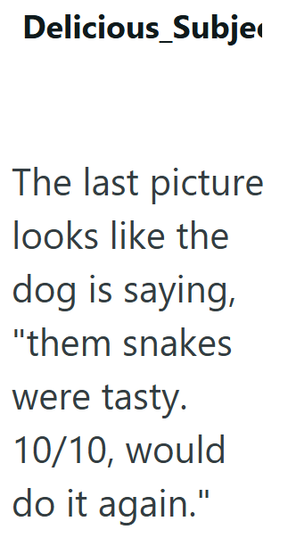 Delicious_Subje The last picture looks like the dog is saying, "them snakes were tasty. 10/10, would do it again."