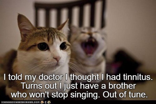 I told my doctor I thought I had tinnitus. Turns out I just have a brother who won't stop singing. Out of tune. ICANHASCHEEZBURGER.COM