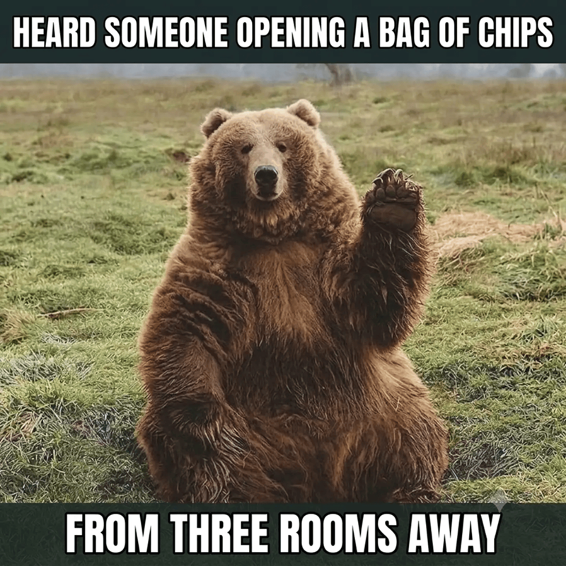 HEARD SOMEONE OPENING A BAG OF CHIPS FROM THREE ROOMS AWAY