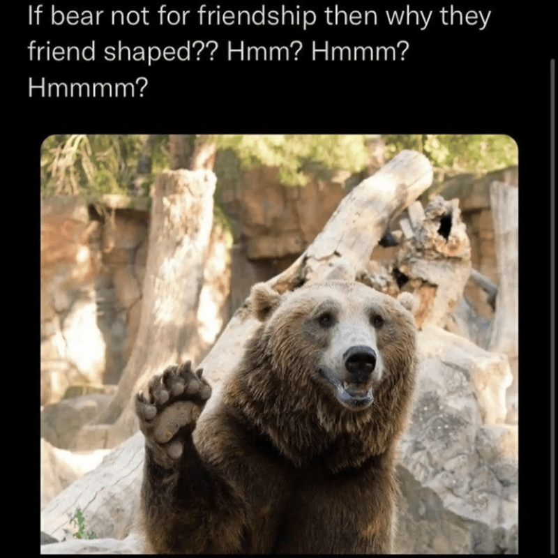 If bear not for friendship then why they friend shaped?? Hmm? Hmmm? Hmmmm?