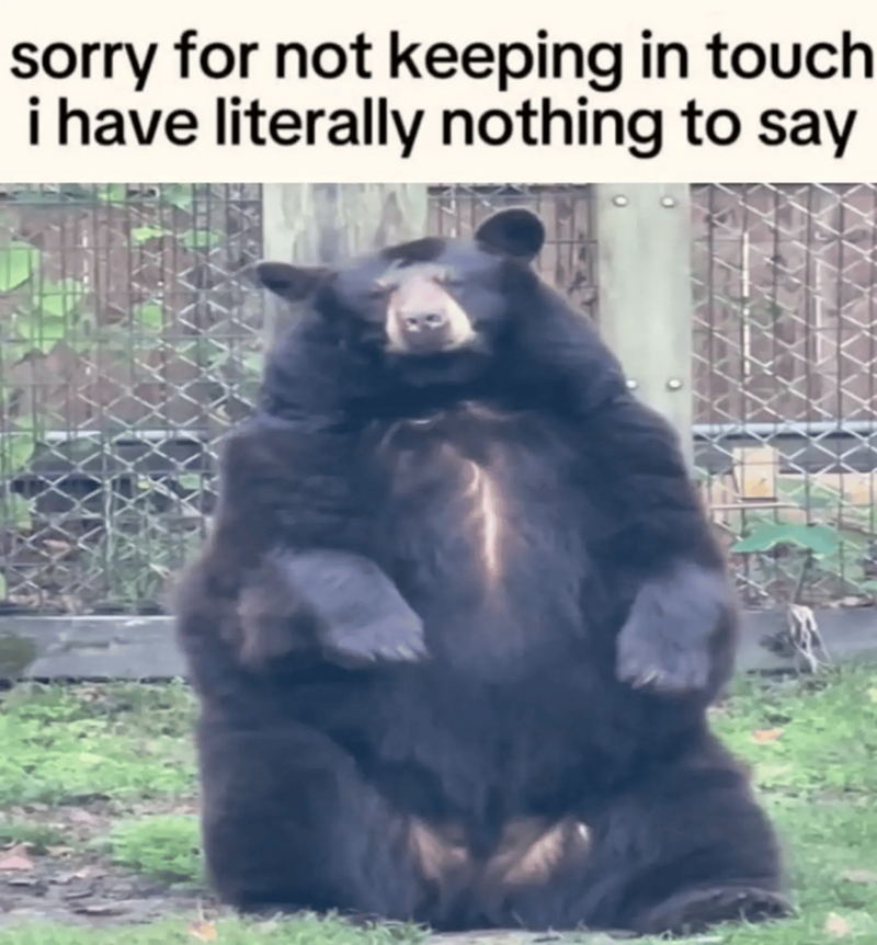 sorry for not keeping in touch i have literally nothing to say