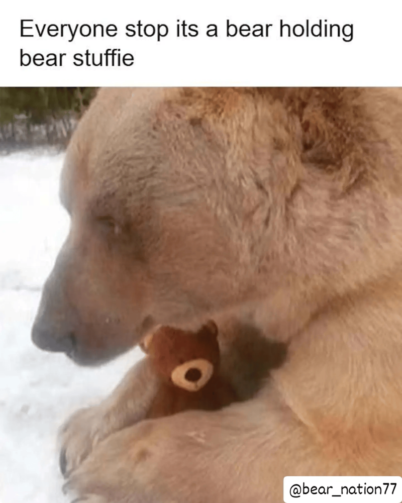 Everyone stop its a bear holding bear stuffie @bear_nation77