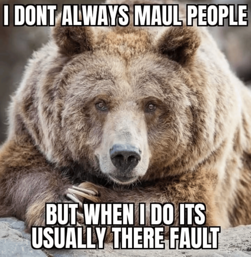 I DONT ALWAYS MAUL PEOPLE BUT WHEN I DO ITS USUALLY THERE FAULT