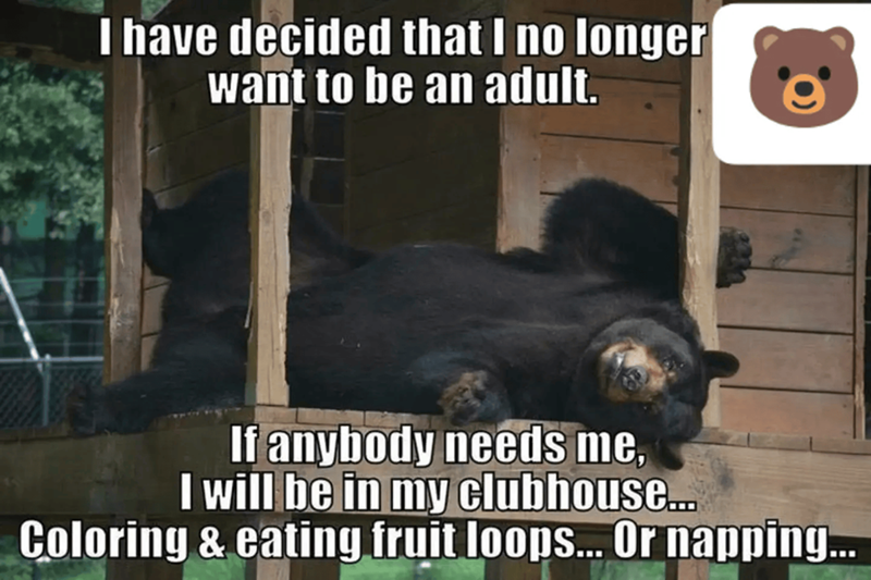 I have decided that I no longer want to be an adult. If anybody needs me, I will be in my clubhouse... Coloring & eating fruit loops... Or napping...