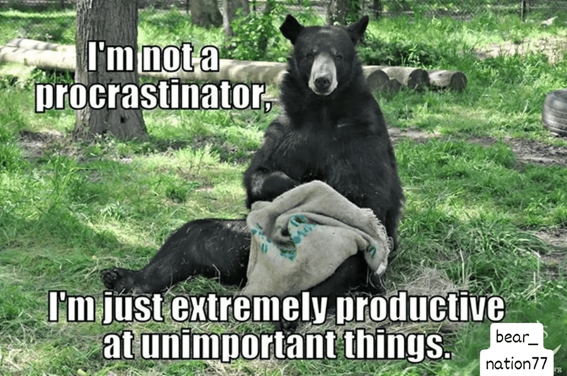 I'm not a procrastinator. I'm just extremely productive at unimportant things. bear_ nation 77