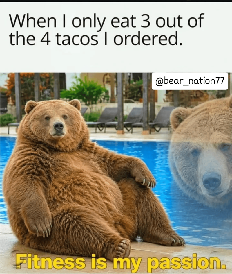 When I only eat 3 out of the 4 tacos I ordered. @bear_nation77 farande imals Fitness is my passion.
