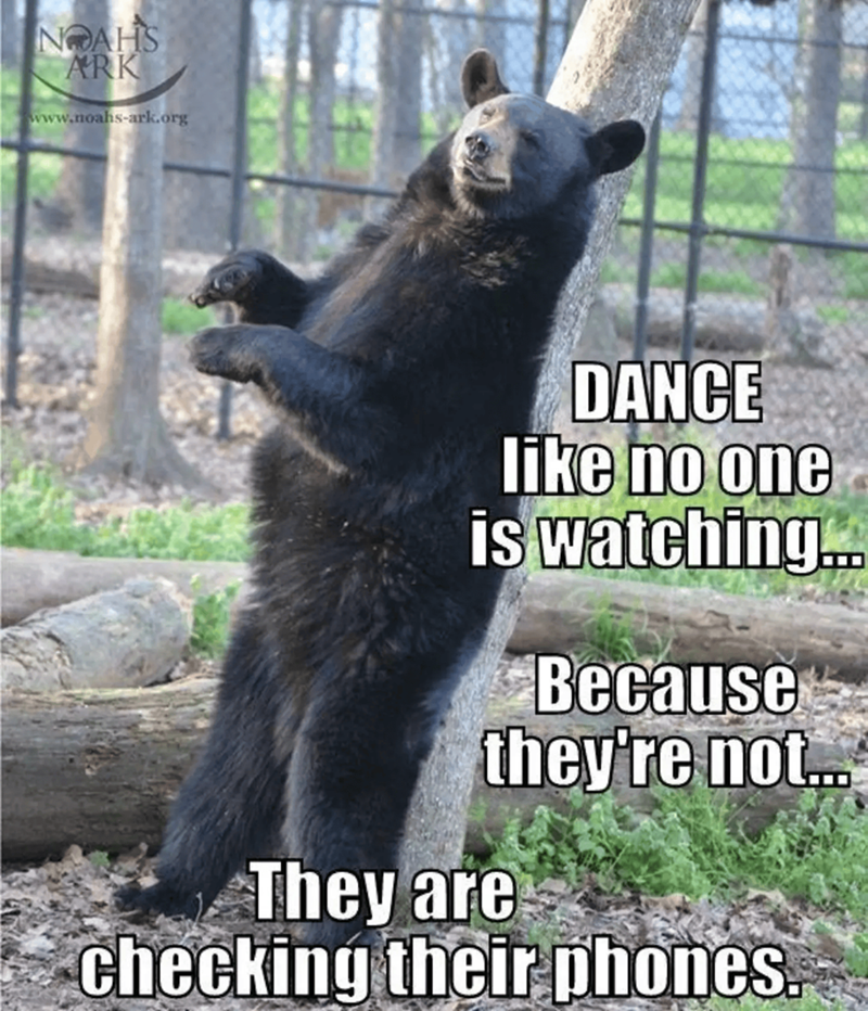 NOAHS ARK www.noahs-ark.org DANCE like no one is watching... Because they're not... They are checking their phones