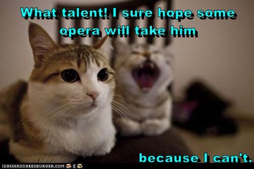 What talent!! I sure hope some opera will take him because I can't. ICANHASCHEEZBURGER.COM
