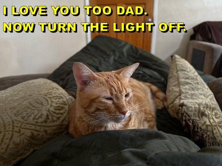 I LOVE YOU TOO DAD. NOW TURN THE LIGHT OFF.