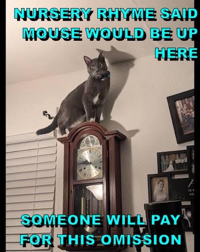 NURSERY RHYME SAID MOUSE WOULD BE UP HERE SOMEONE WILL PAY FOR THIS OMISSION isy