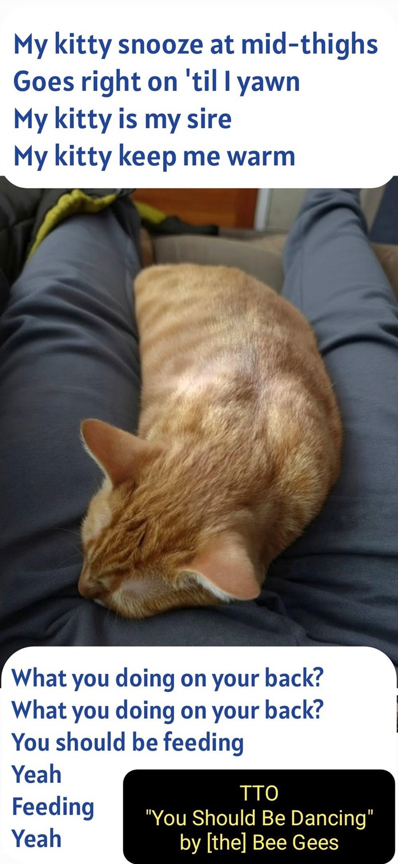 My kitty snooze at mid-thighs Goes right on 'til I yawn My kitty is my sire My kitty keep me warm What you doing on your back? What you doing on your back? You should be feeding Yeah TTO Feeding Yeah "You Should Be Dancing" by [the] Bee Gees