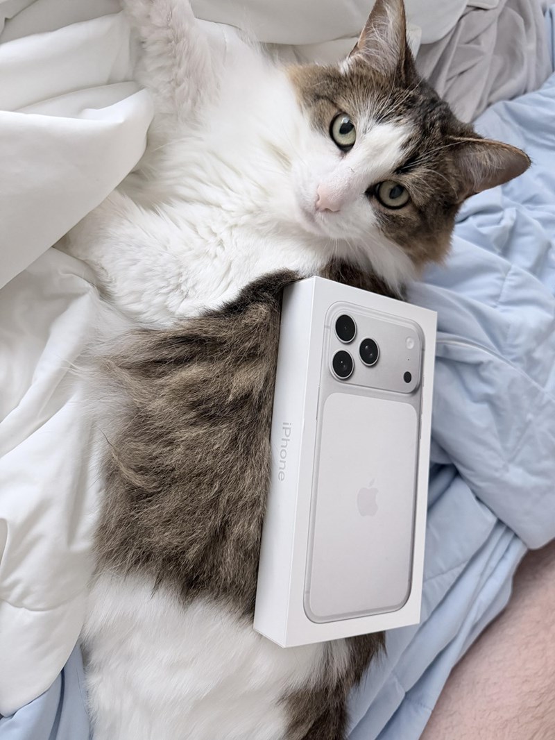 iPhone