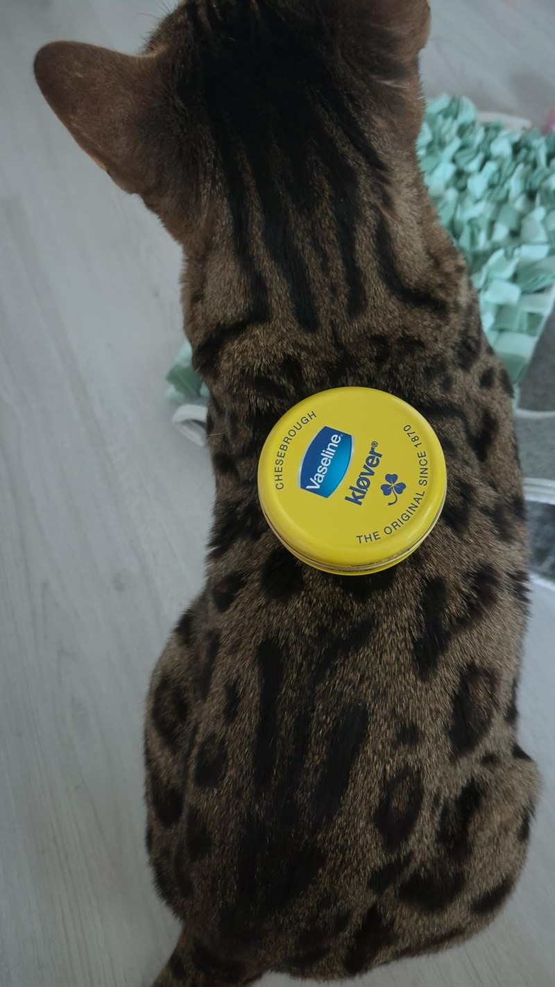 CHESEBROUGH Vaseline THE O kløver® FORIGINAL SINCE 1870